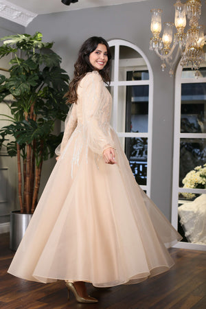  Romantic Design Evening Gown